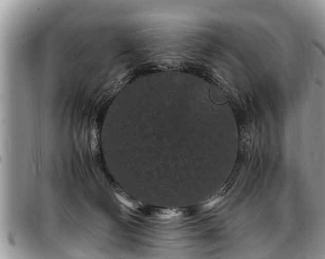 X0000097500130200802291605
