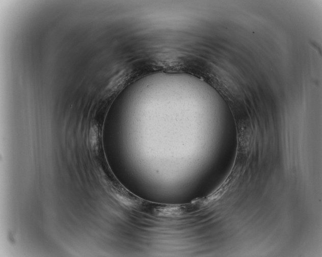 X0000097500132200802291605