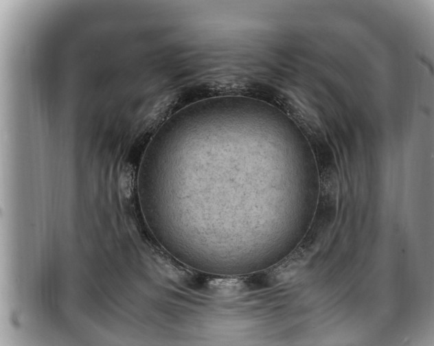 X0000097500133200802291605
