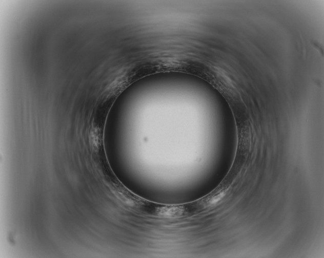 X0000097500135200802291605