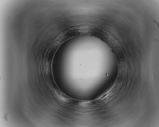 X0000097500136200802291605