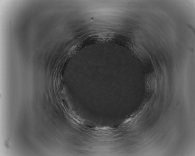 X0000097500137200802291605