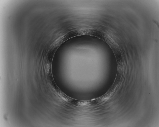 X0000097500139200802291605
