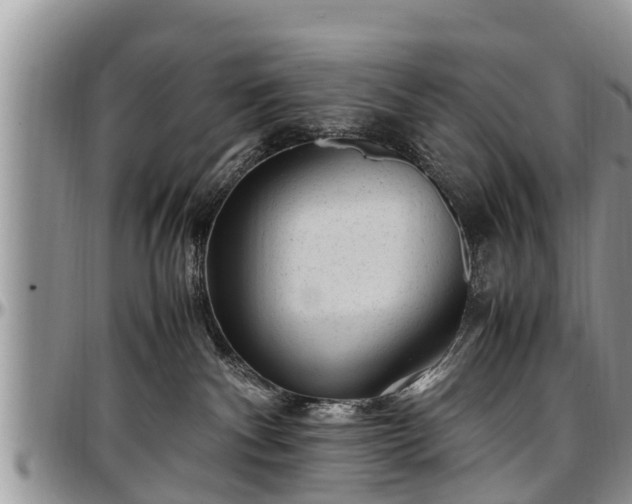 X0000097500140200802291605