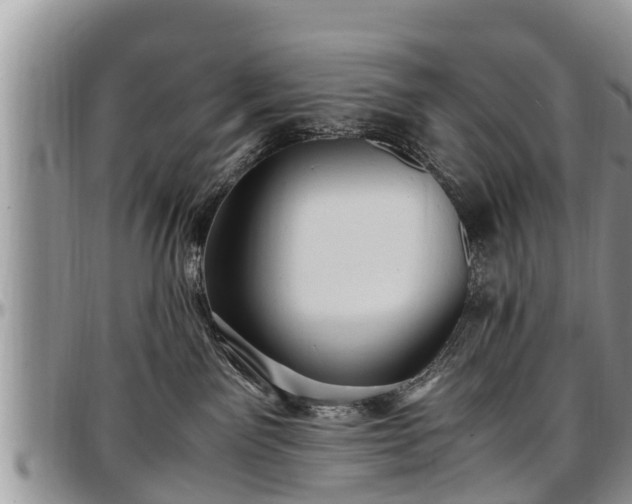 X0000097500141200802291605