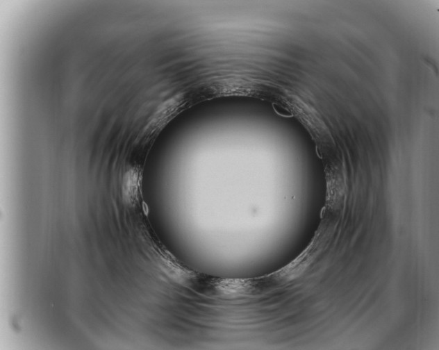 X0000097500142200802291605