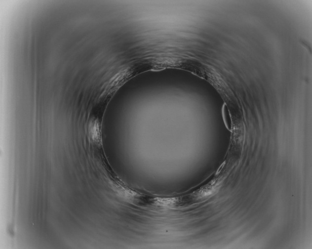 X0000097500143200802291605
