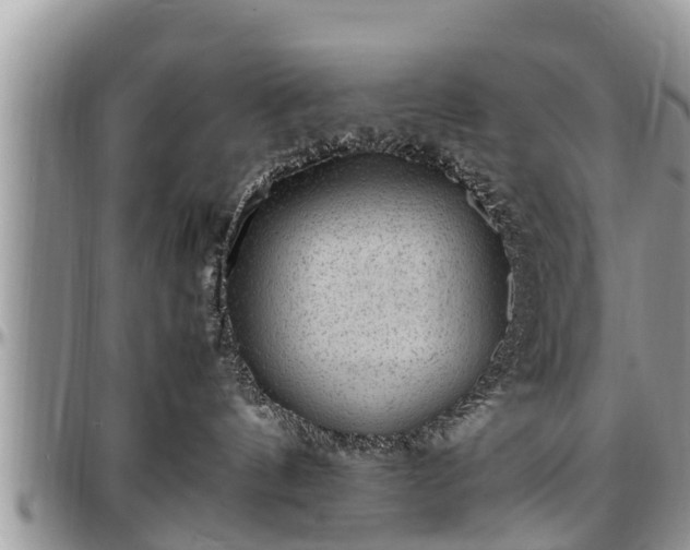 X0000097500144200802291605