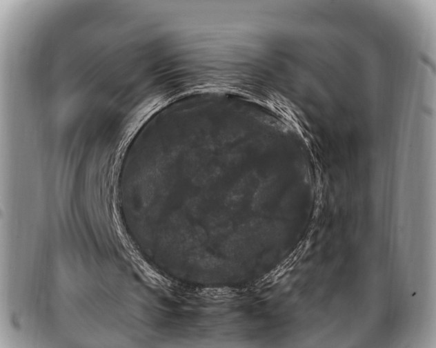 X0000097500145200802291605