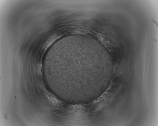X0000097500146200802291605
