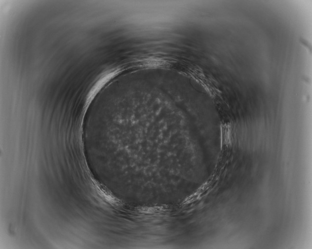 X0000097500147200802291605