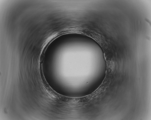 X0000097500148200802291605
