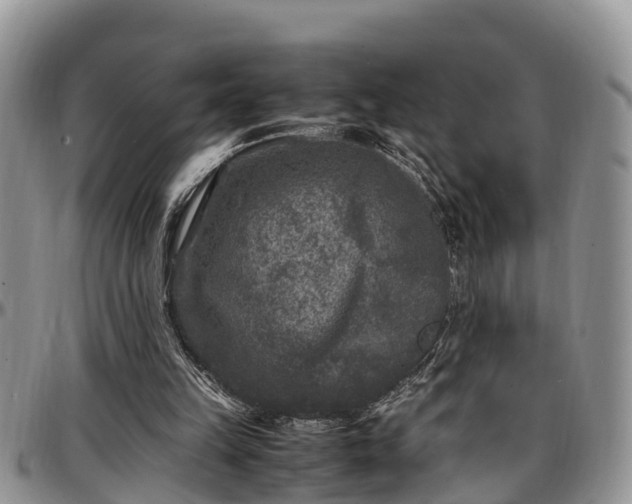 X0000097500149200802291605