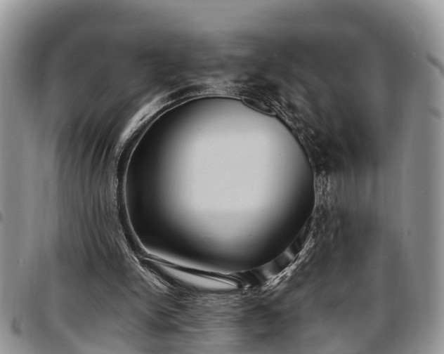 X0000097500150200802291605