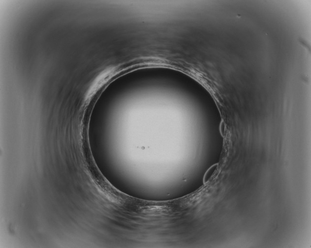 X0000097500151200802291605