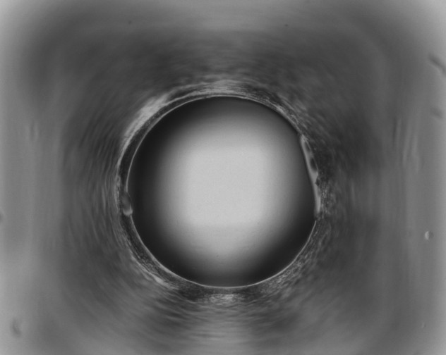 X0000097500152200802291605