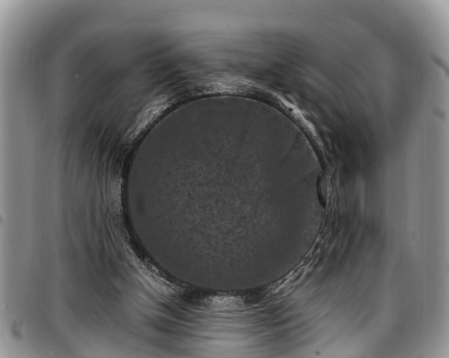 X0000097500154200802291605