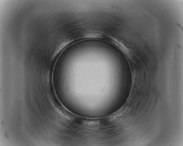 X0000097500155200802291605