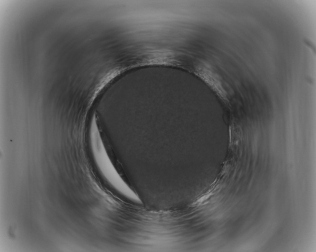 X0000097500156200802291605