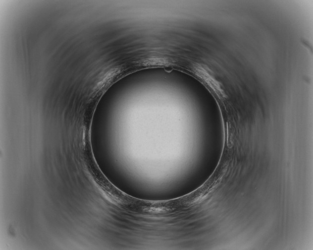 X0000097500157200802291605