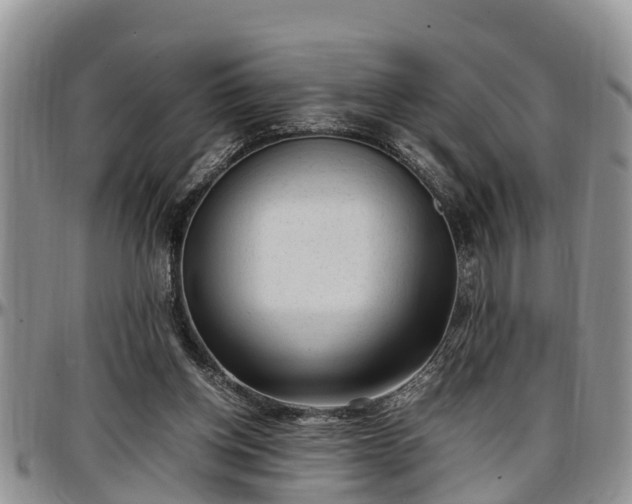 X0000097500158200802291605