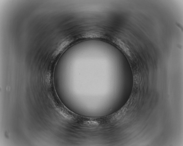X0000097500159200802291605