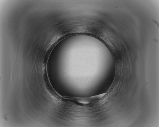 X0000097500160200802291605