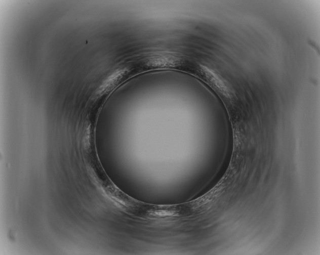 X0000097500163200802291605