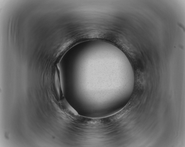 X0000097500164200802291605