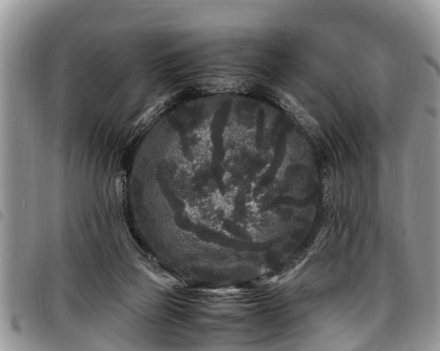X0000097500165200802291605