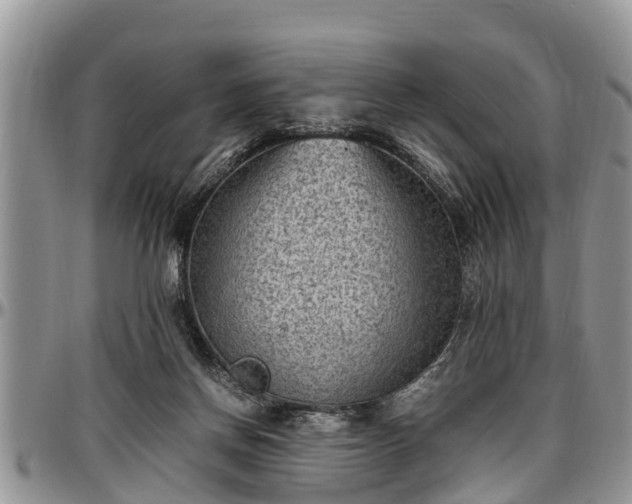 X0000097500166200802291605