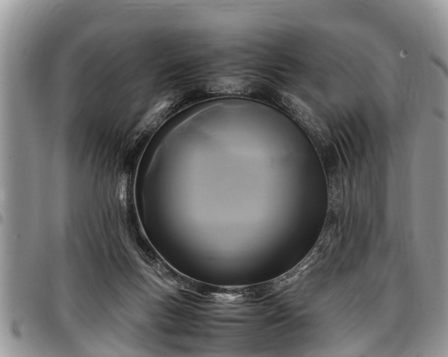 X0000097500167200802291605