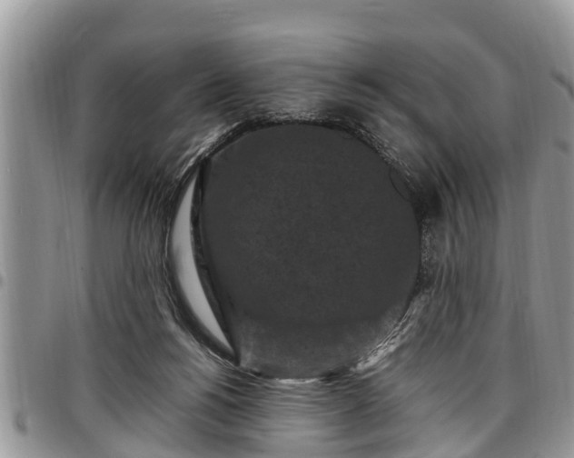 X0000097500168200802291605