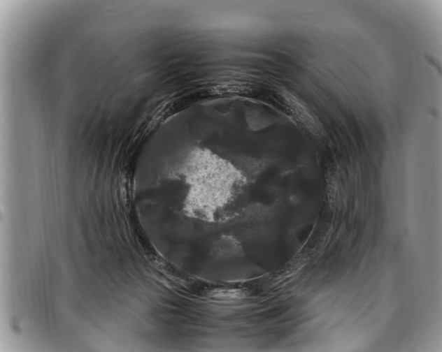 X0000097500169200802291605