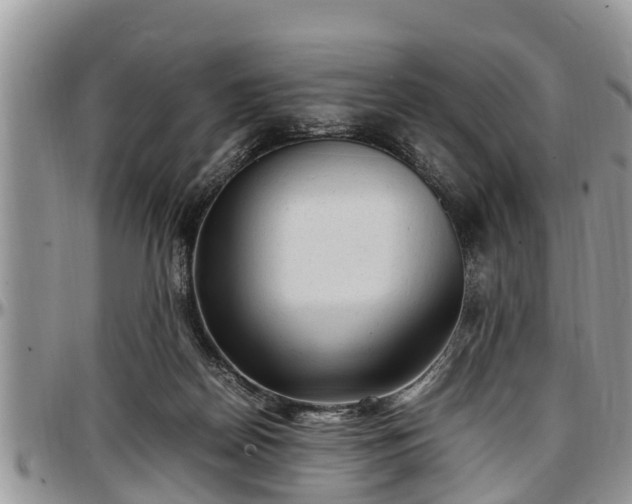 X0000097500170200802291605