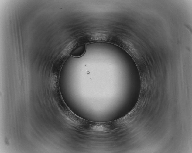 X0000097500171200802291605