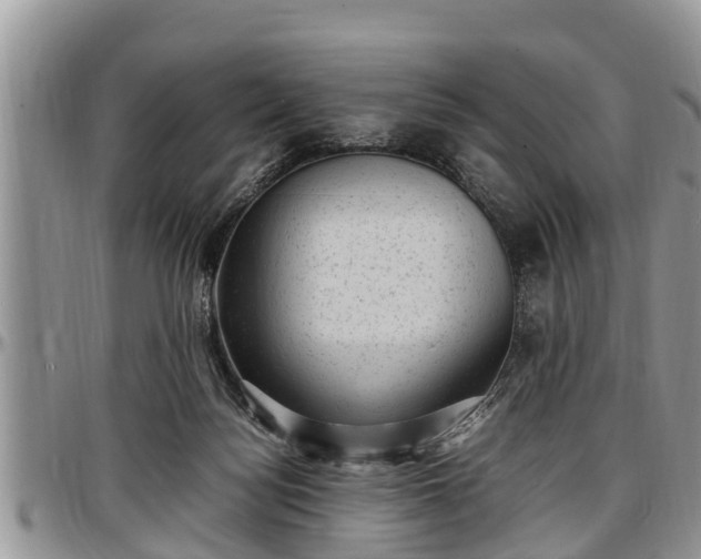 X0000097500172200802291605