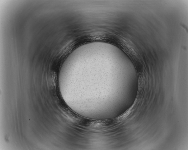 X0000097500174200802291605