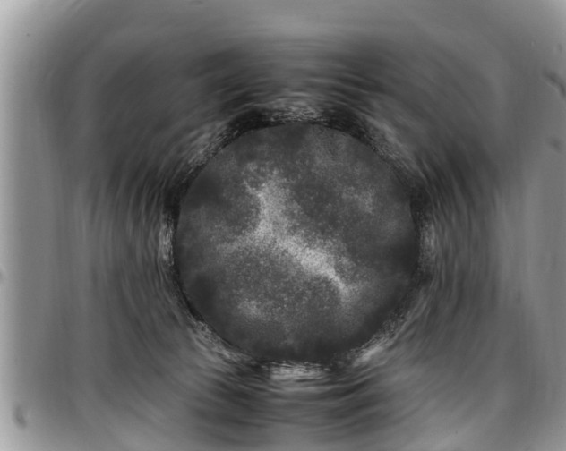 X0000097500177200802291605