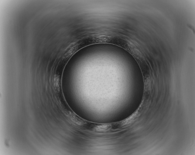 X0000097500178200802291605