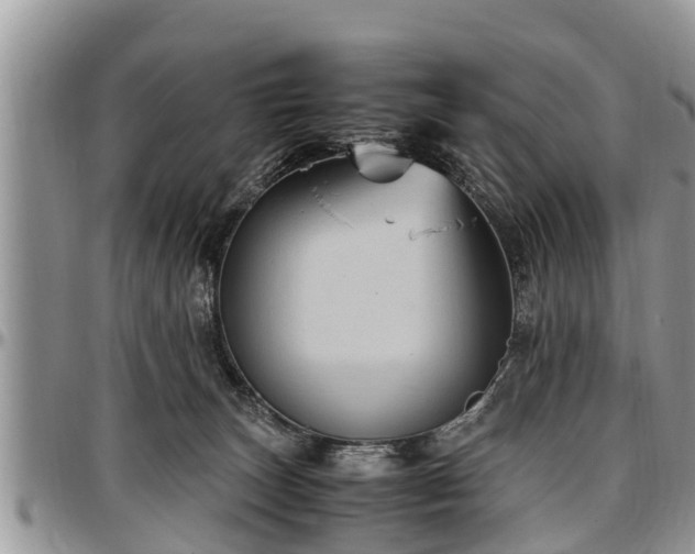 X0000097500179200802291605