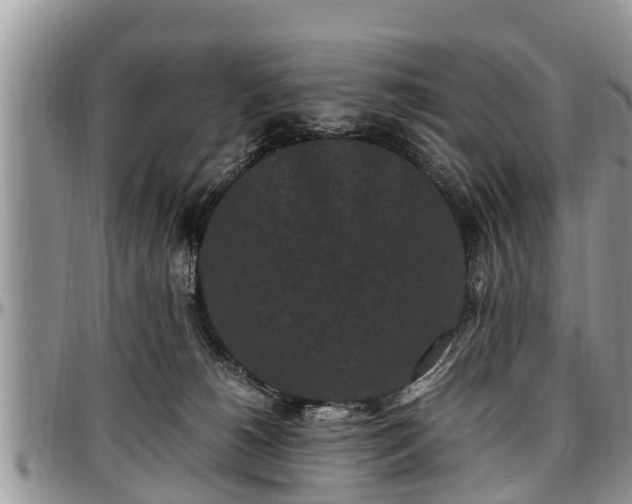X0000097500180200802291605
