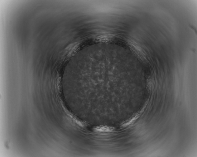 X0000097500181200802291605