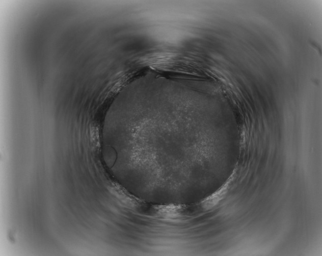 X0000097500182200802291605