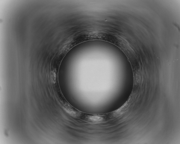 X0000097500183200802291605