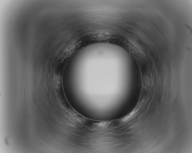 X0000097500184200802291605