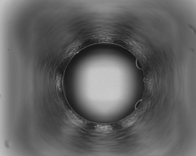 X0000097500185200802291605