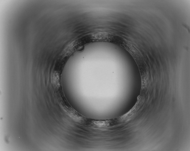 X0000097500187200802291605