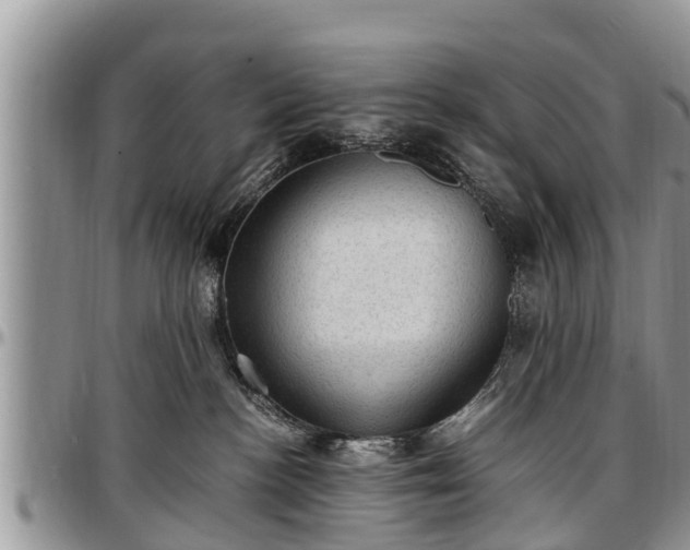 X0000097500188200802291605