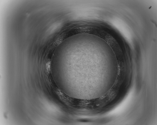 X0000097500190200802291605